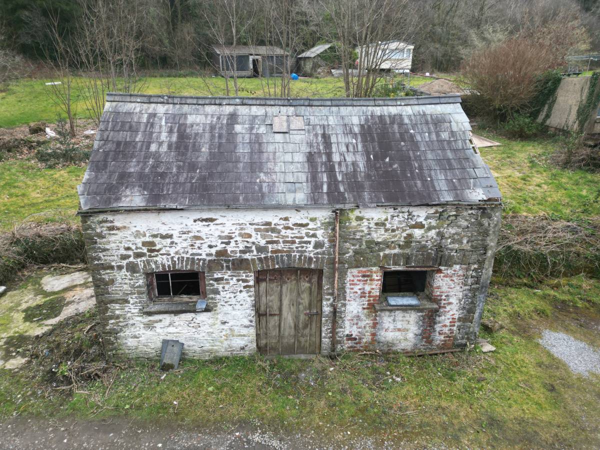 Bat Survey - Bar, Resolven, Neath