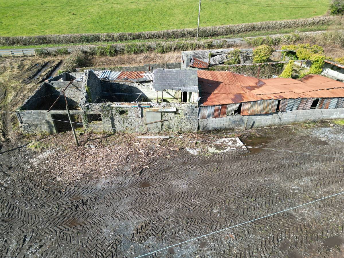 Bat Survey - Barns, Kidwely, Carmarthem