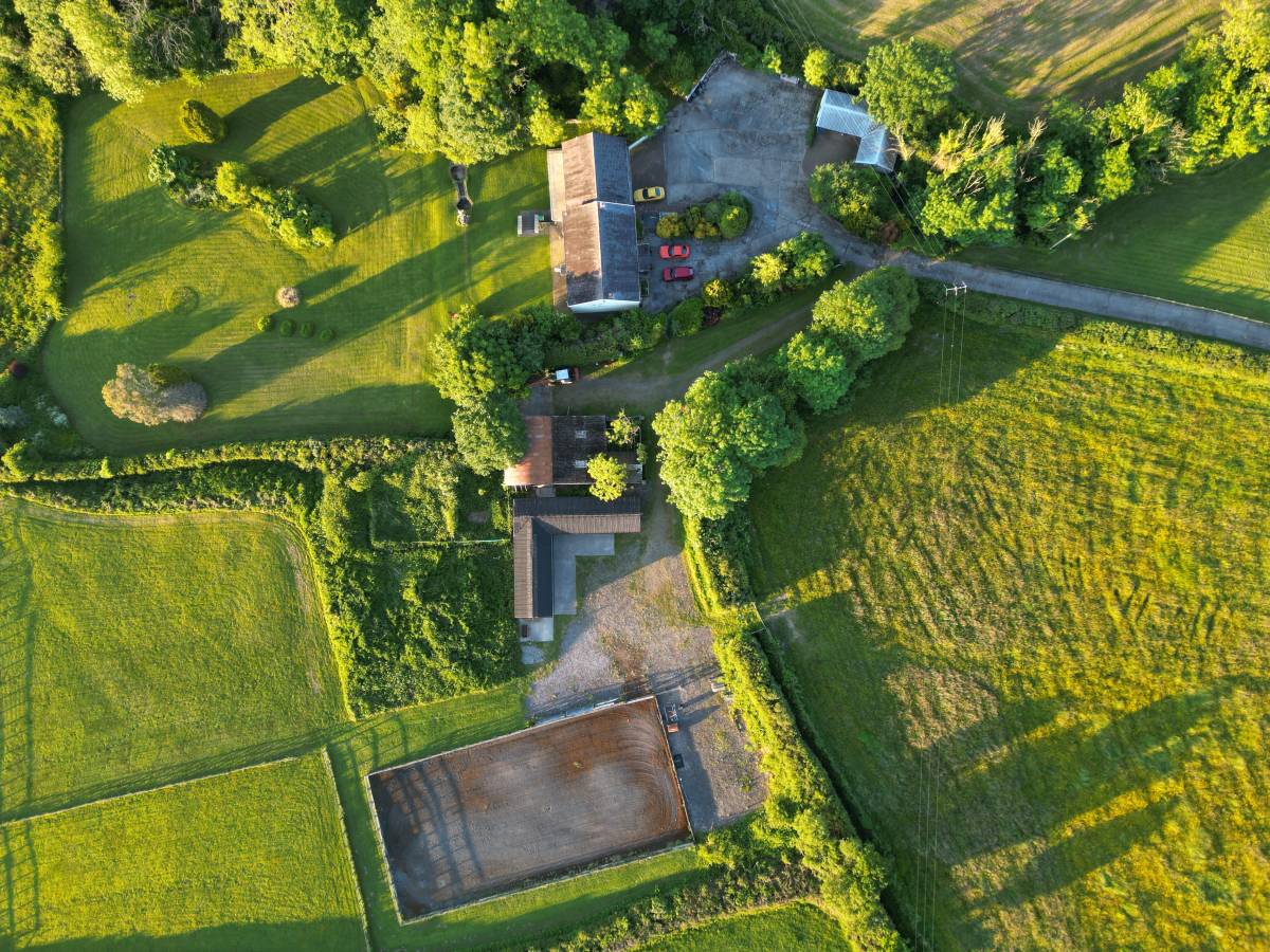 Bat Survey - Idole, Carmarthen