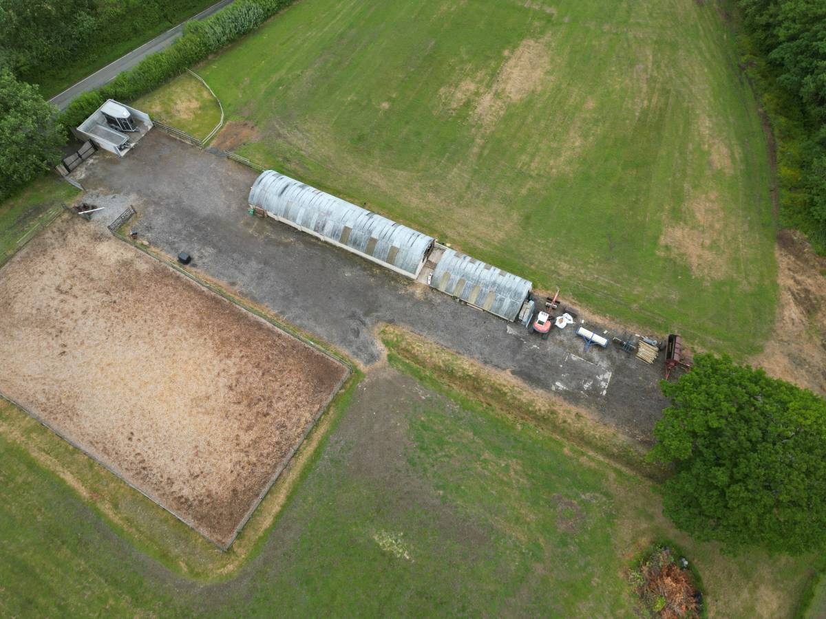 Bat Survey - Carmarthen, Carmarthenshire