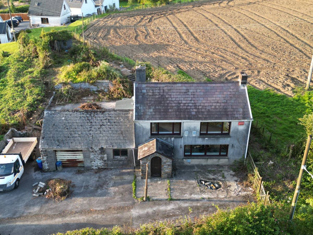 Bat Survey - Brynhyfred, Nantycaws