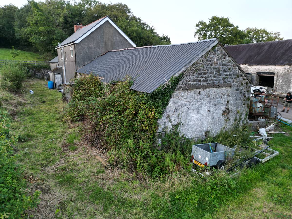 Bat Survey - Barn, Llanelli 