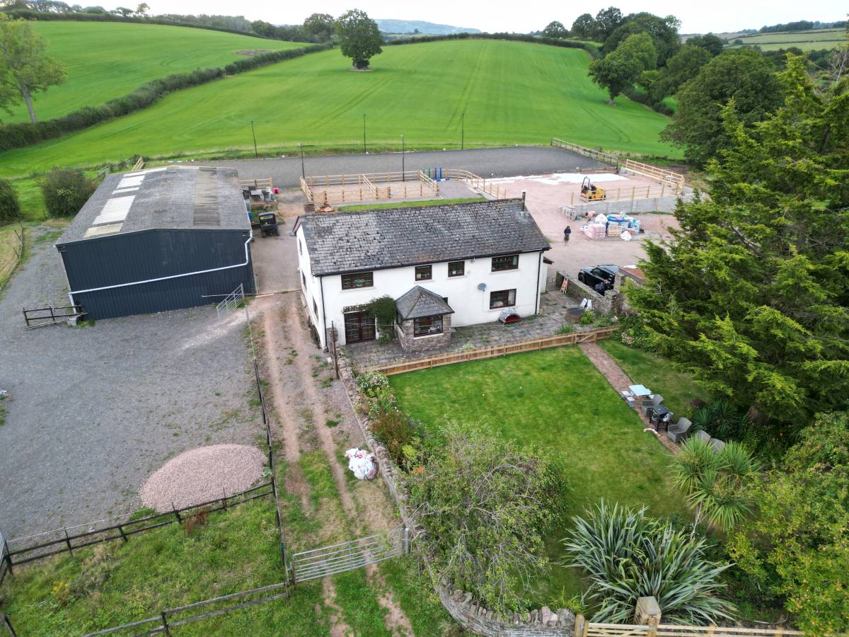 Bat Survey - Ponthir, Cwmbran