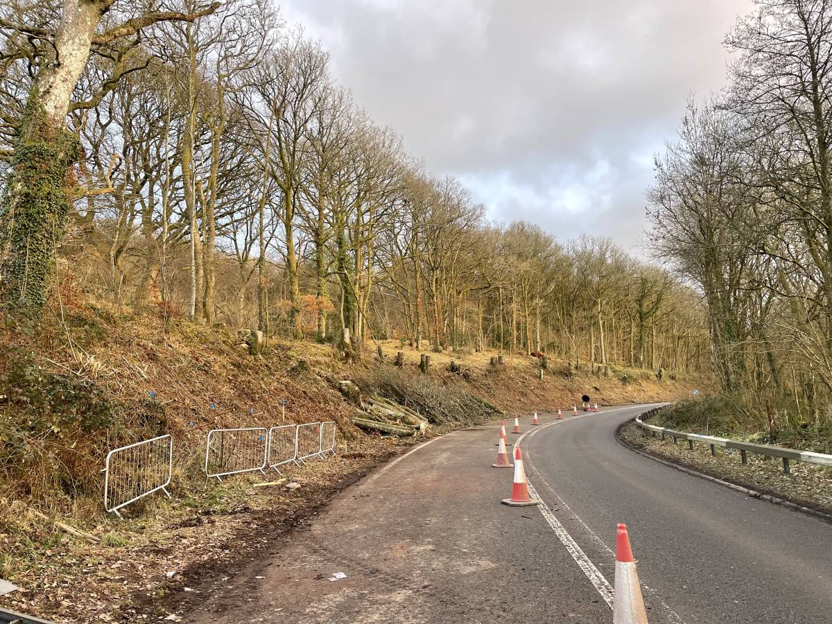 Tree Services & Clearance Works