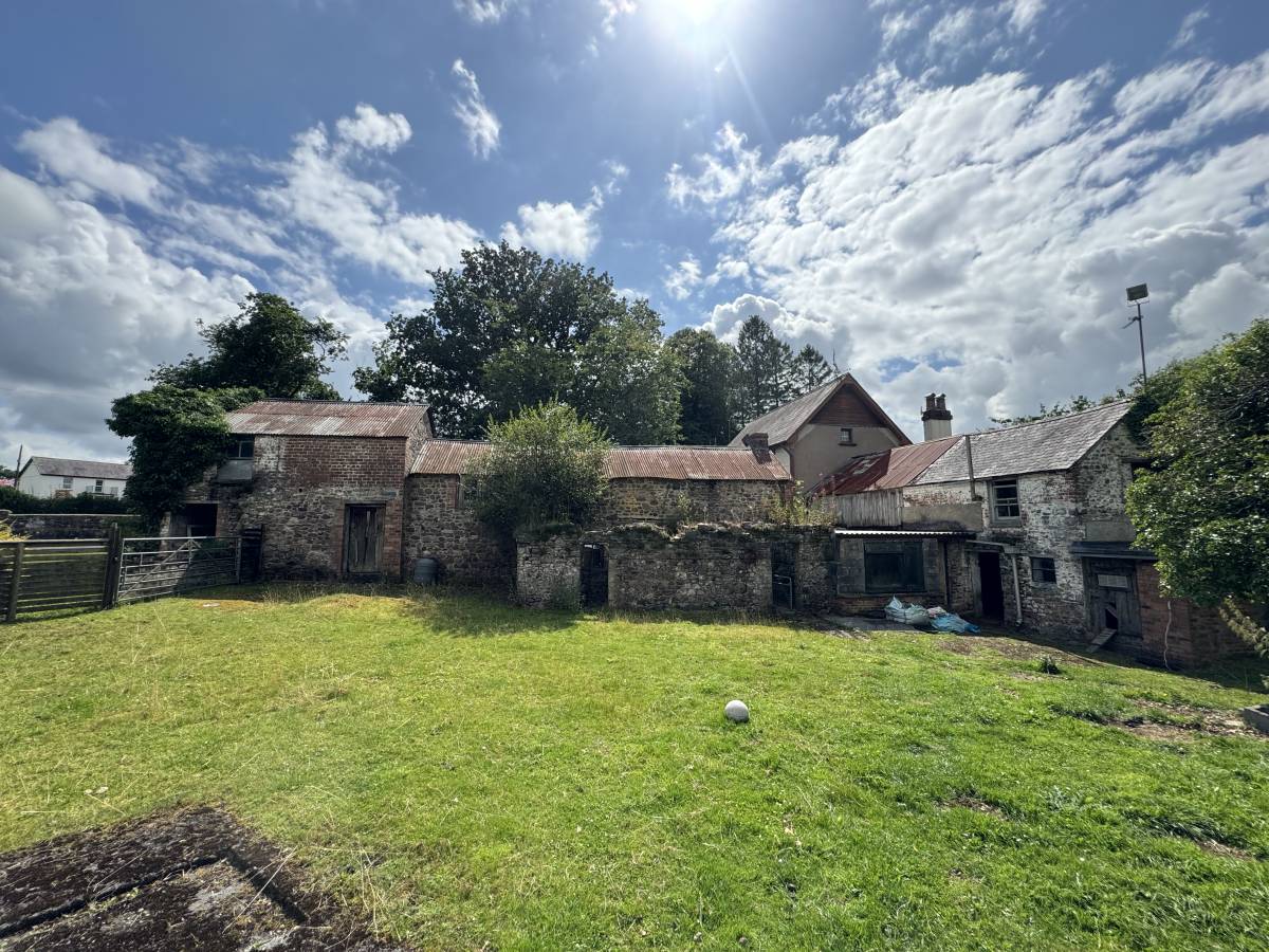 Bat Survey - Llangadog, Carmarthenshire