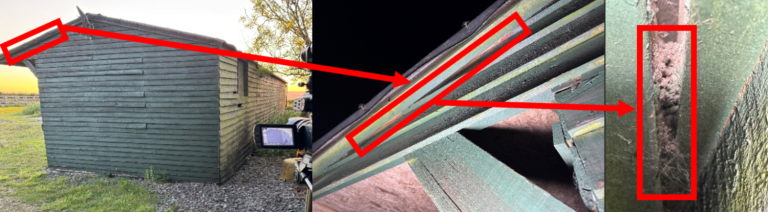 Evidence of bats