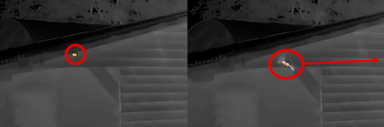 Thermal image of bat emerging