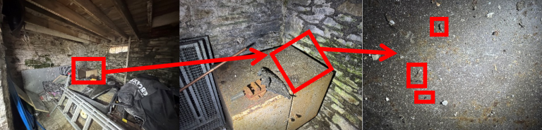 bat survey resolven neath